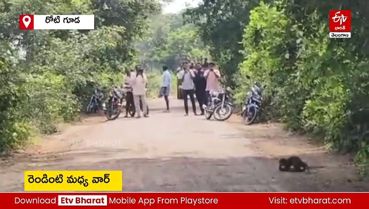 నాగుపాము - ముంగిస మధ్య ఫైట్, చివర్లో ట్విస్ట్