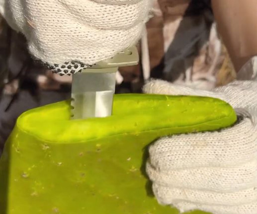 Clever camping tips for different occasions!