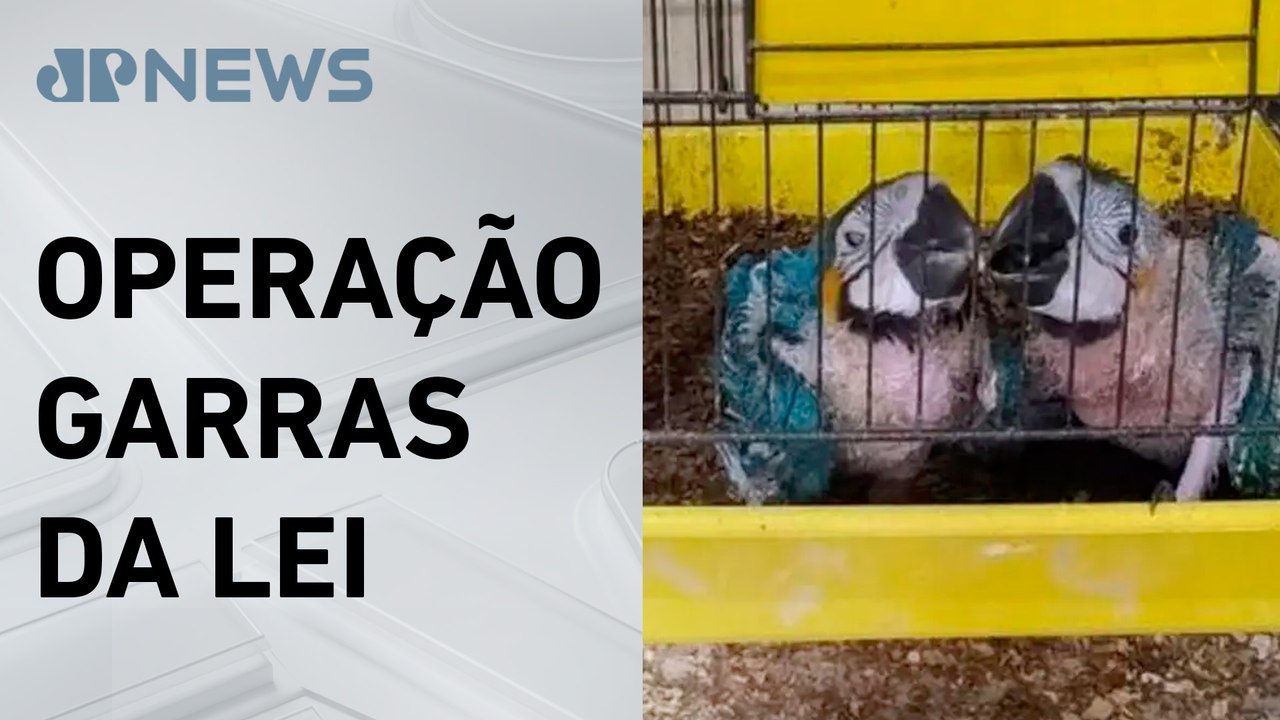 Polícia Civil do RJ realiza ação contra tráfico de animais silvestres