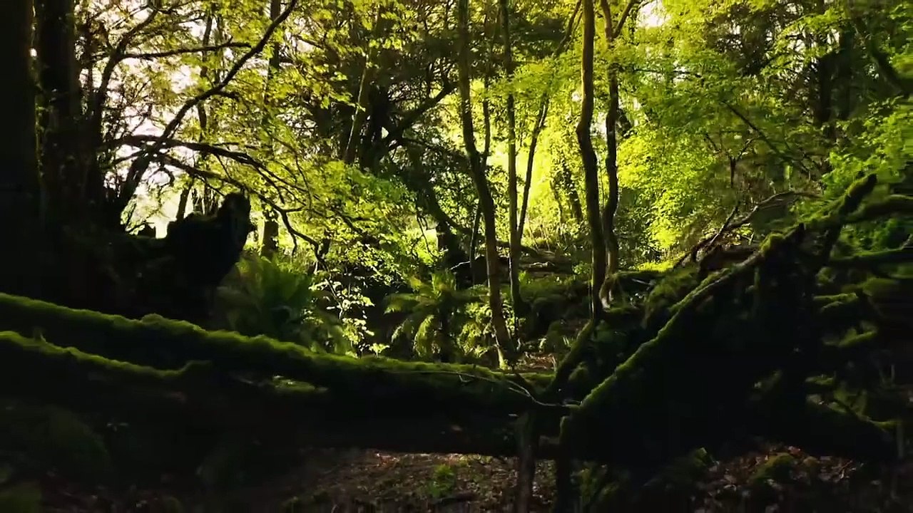 Sir David Attenborough - Dinosaurs - The Final Day