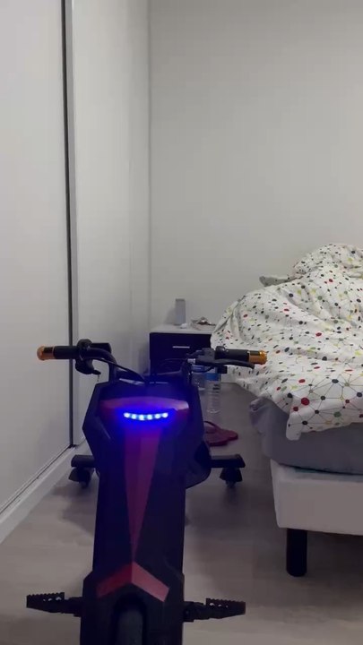 The Goat (on le connais tous ) of LA FLEMME 