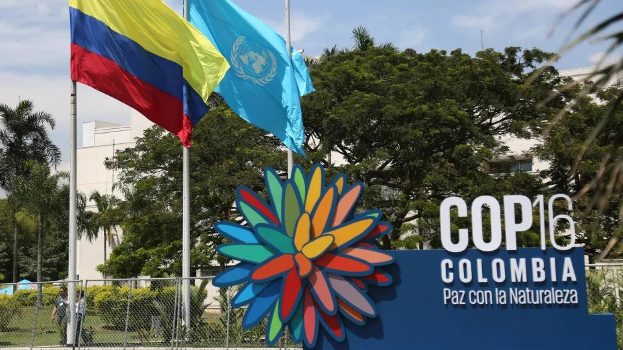 ¿Cuáles son los puntos claves de la COP16?