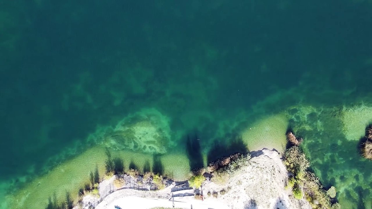 Seestadt Symposium Turning the Tide