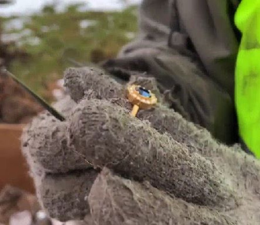 Dug out 200-year-old family treasure box!