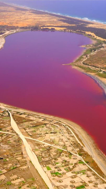 CURATION - Le lac Retba (1)