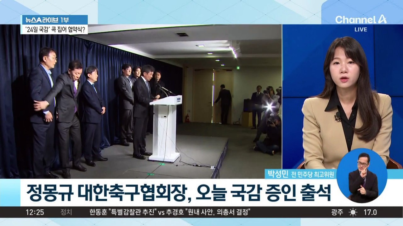 정몽규 국감 출석…논란 정면 돌파 나서나