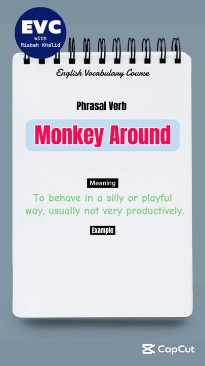"Monkey Around" Meaning with Example| English Phrasal Verbs