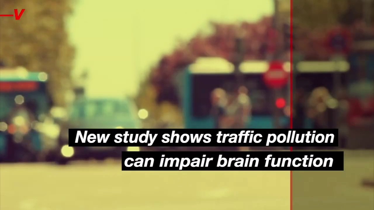 How Traffic Pollution and Brain Function Are Related