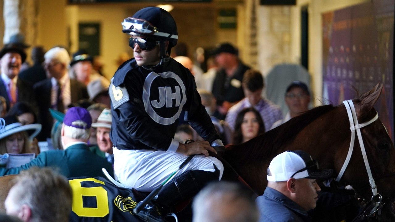 Insightful Analysis of Upcoming Horse Race Strategies