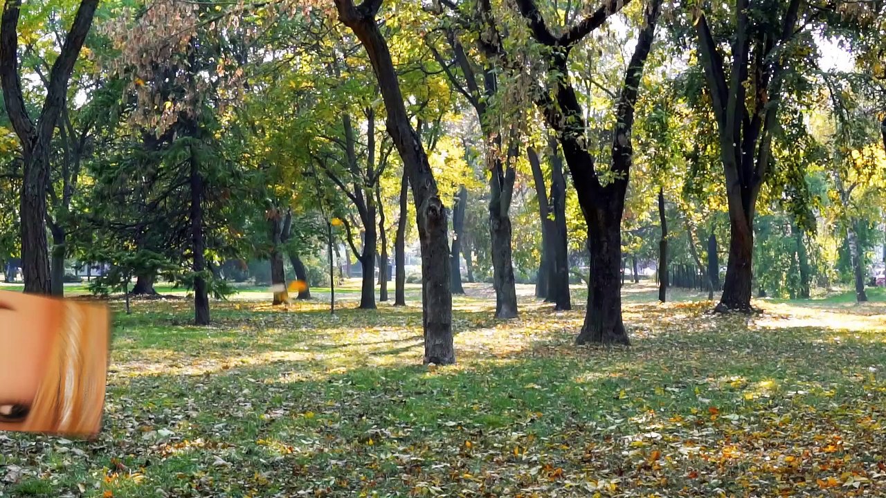 The Virgin Suicides Ending Explained