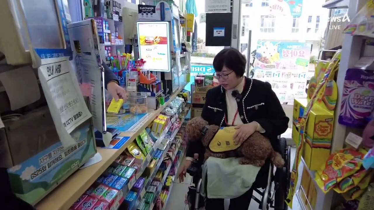 푸들도 도우미…장애인 돕는 소형견