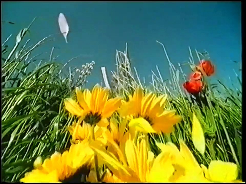 Nova TV 23.02.2004. - Reklame