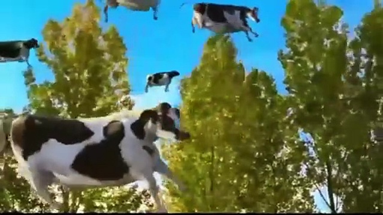 Dancing cow$ dancing # cow