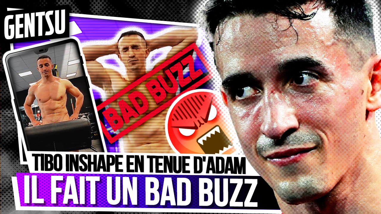 La dernière vidéo de Tibo InShape fait polémique 