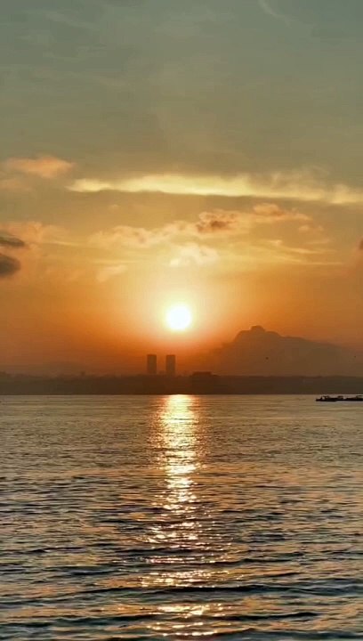 Psychological facts | facts about human |facts