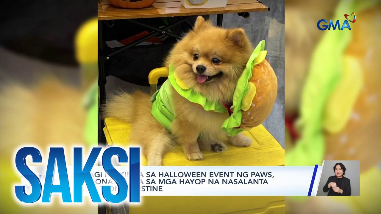 Furbabies, nagbihis halloween din this spooky season | Saksi