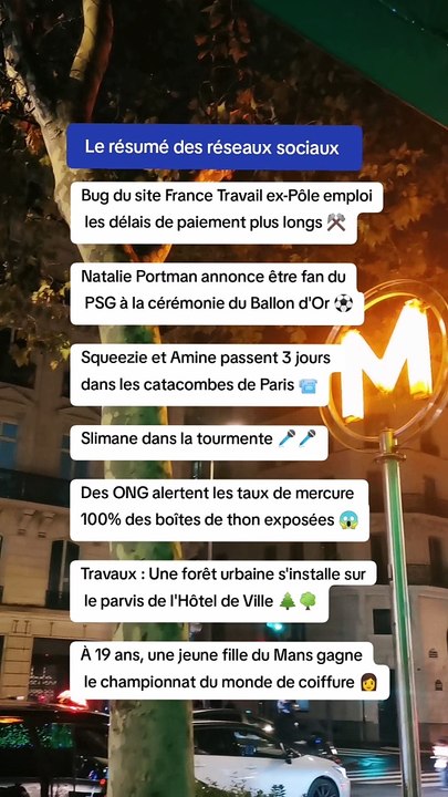 Le résumé des réseaux sociaux 