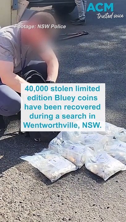 40,000 Bluey coins found during police search