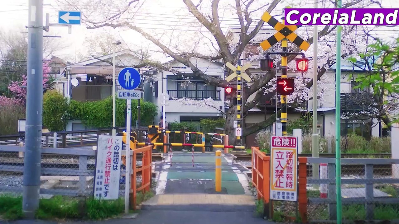 WHAT COMES AFTER LOVE EP 1 E 2 COMENTADO | O QUE VEM DEPOIS DO AMOR RESUMO | ELES VÃO REATAR?