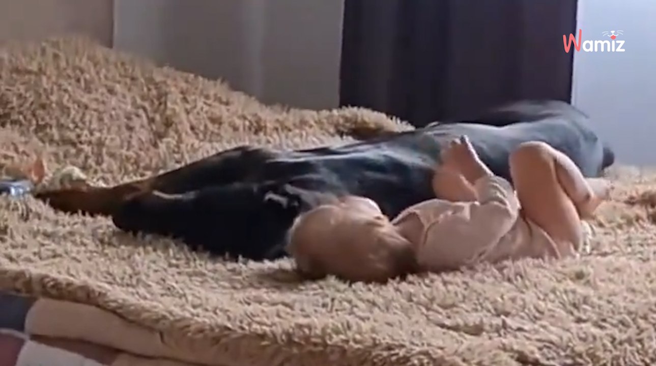 Mama zostawia małe dziecko w sypialni. Kiedy wraca, nie może uwierzyć w to, co dzieje się na łóżku