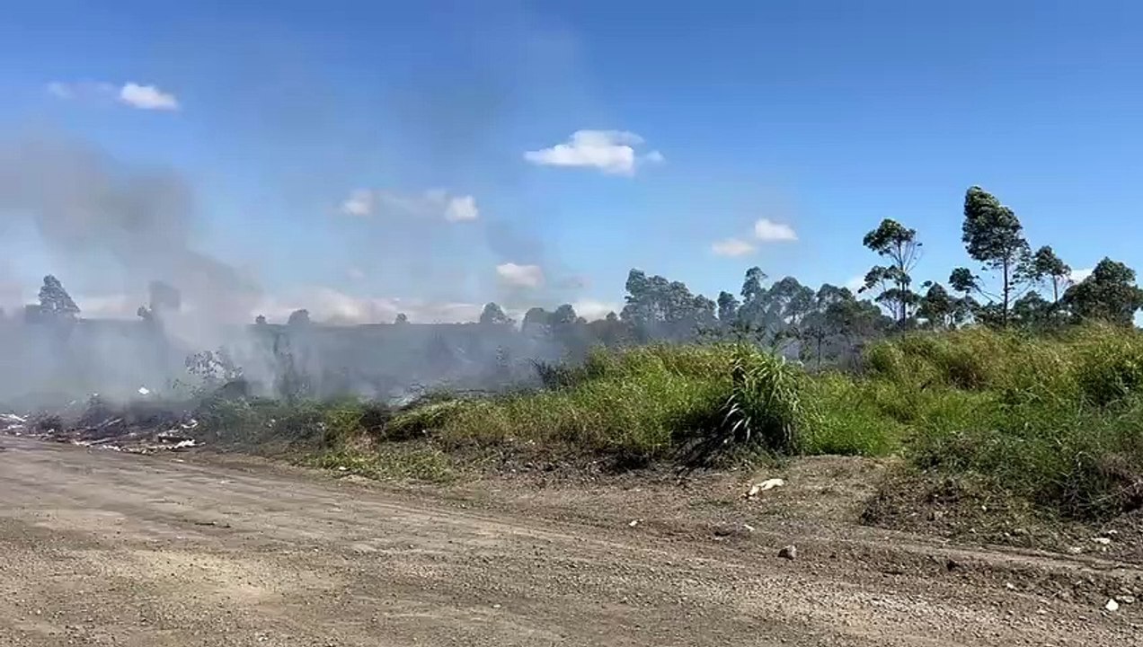 Incêndio atinge área de 160 metros quadrados de vegetação em Criciúma