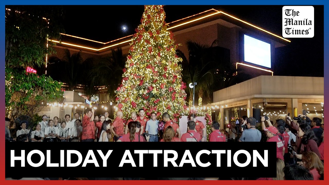 San Juan lights up giant Christmas tree
