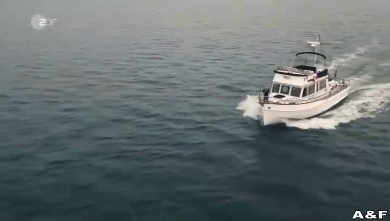 Solo für Weiss -05- Schlaflos