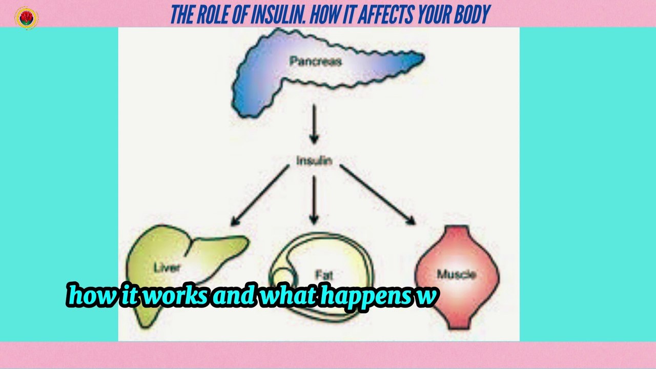 The Role of Insulin: How It Affects Your Body.