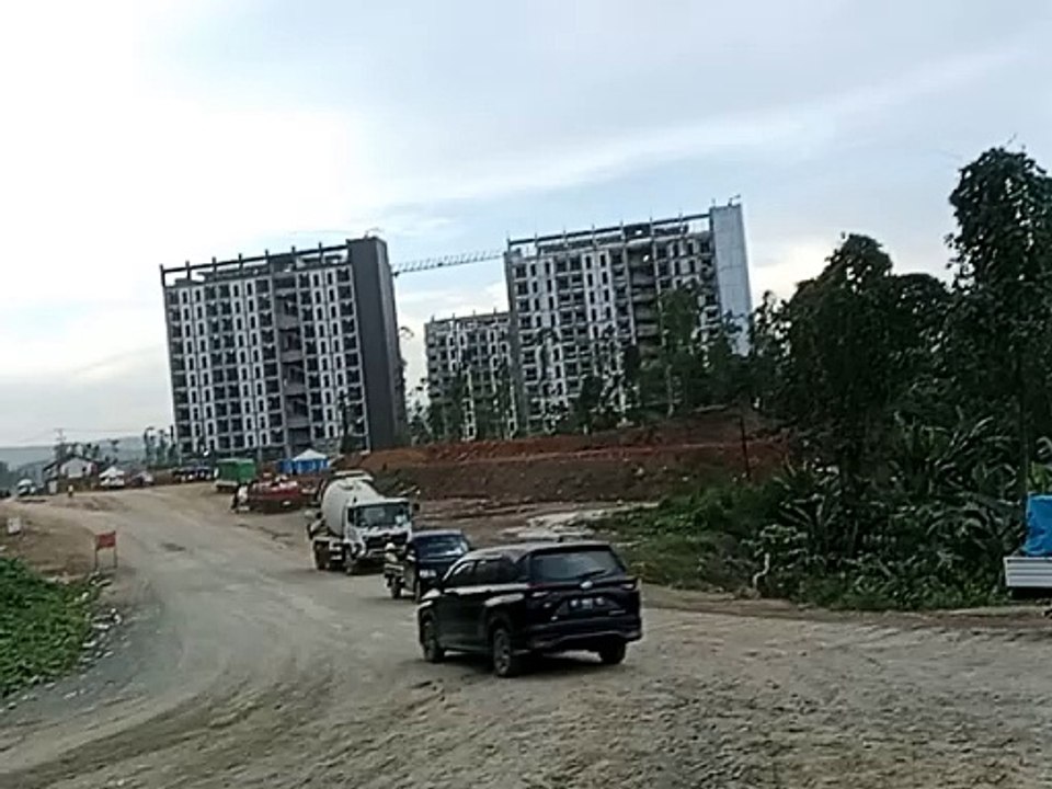 Debu IKN Membuat Daun-daun berwarna Coklat