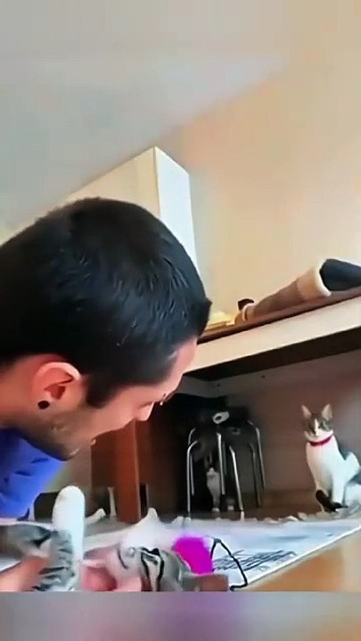 Funny Animal Videos - Funniest Animals - Funny Fails Compilation 2025