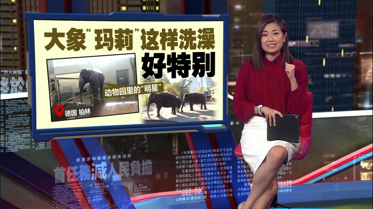 跟人类用莲蓬头一样   大象无师自通用水管洗澡