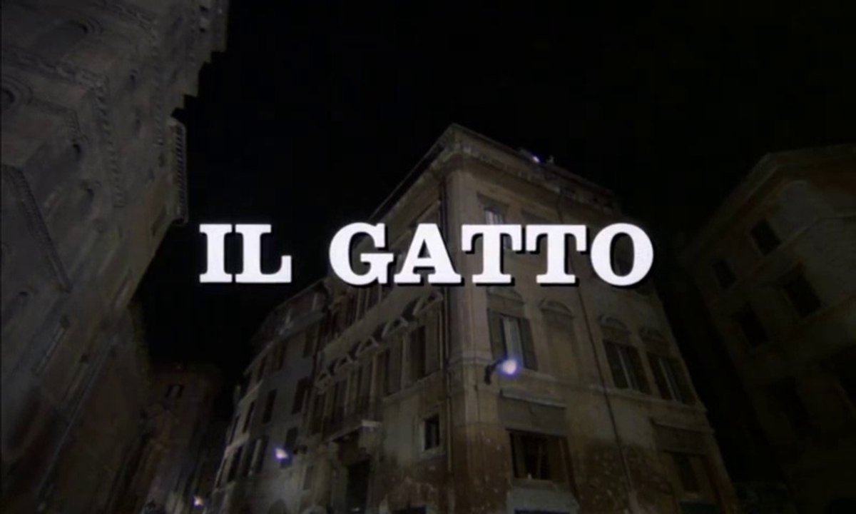 FILM Il gatto (1977)