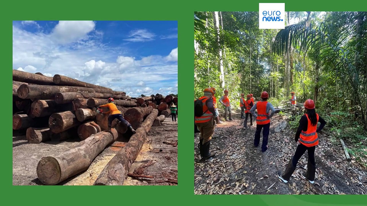 Inteligência artificial domina exposições da Web Summit Lisboa 2024