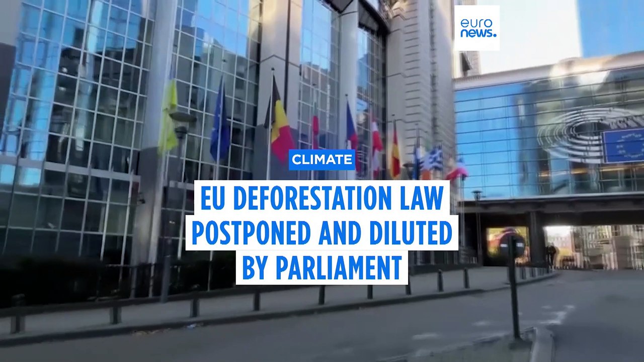EU deforestation law postponed and diluted by Parliament