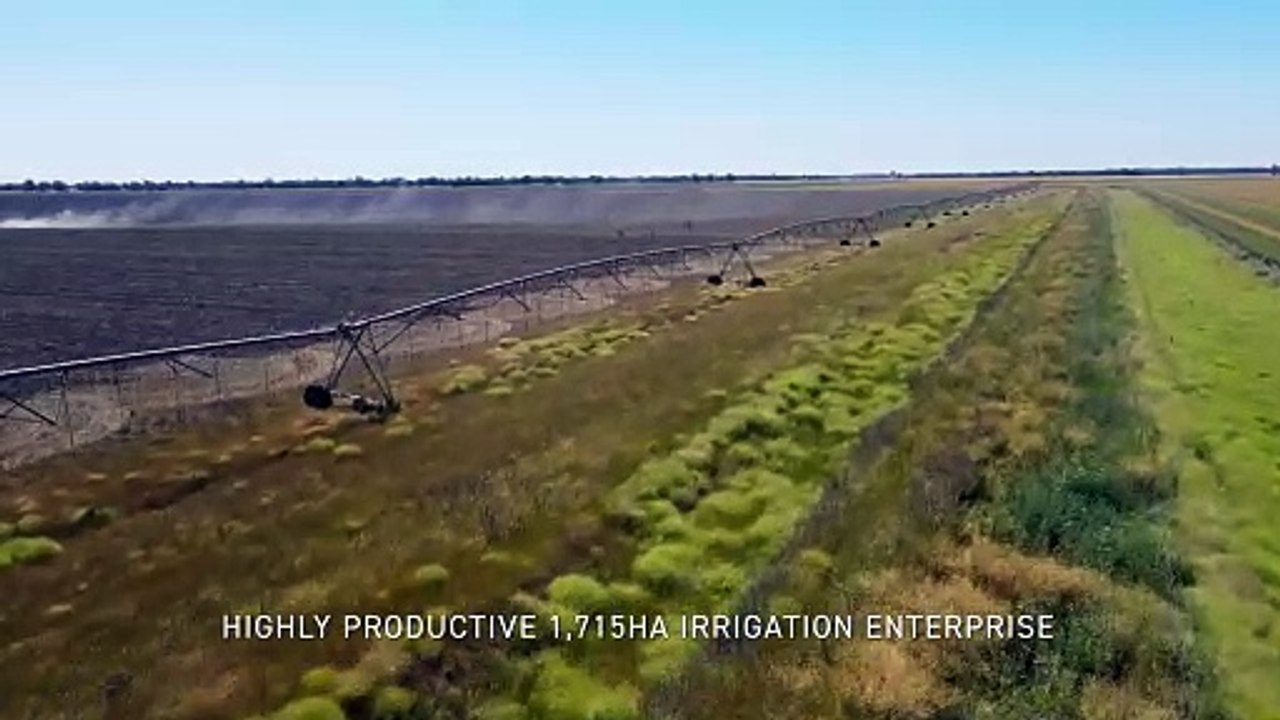 Garrawilla Aggregation, Forbes, NSW | November 15, 2024 | Farmonline