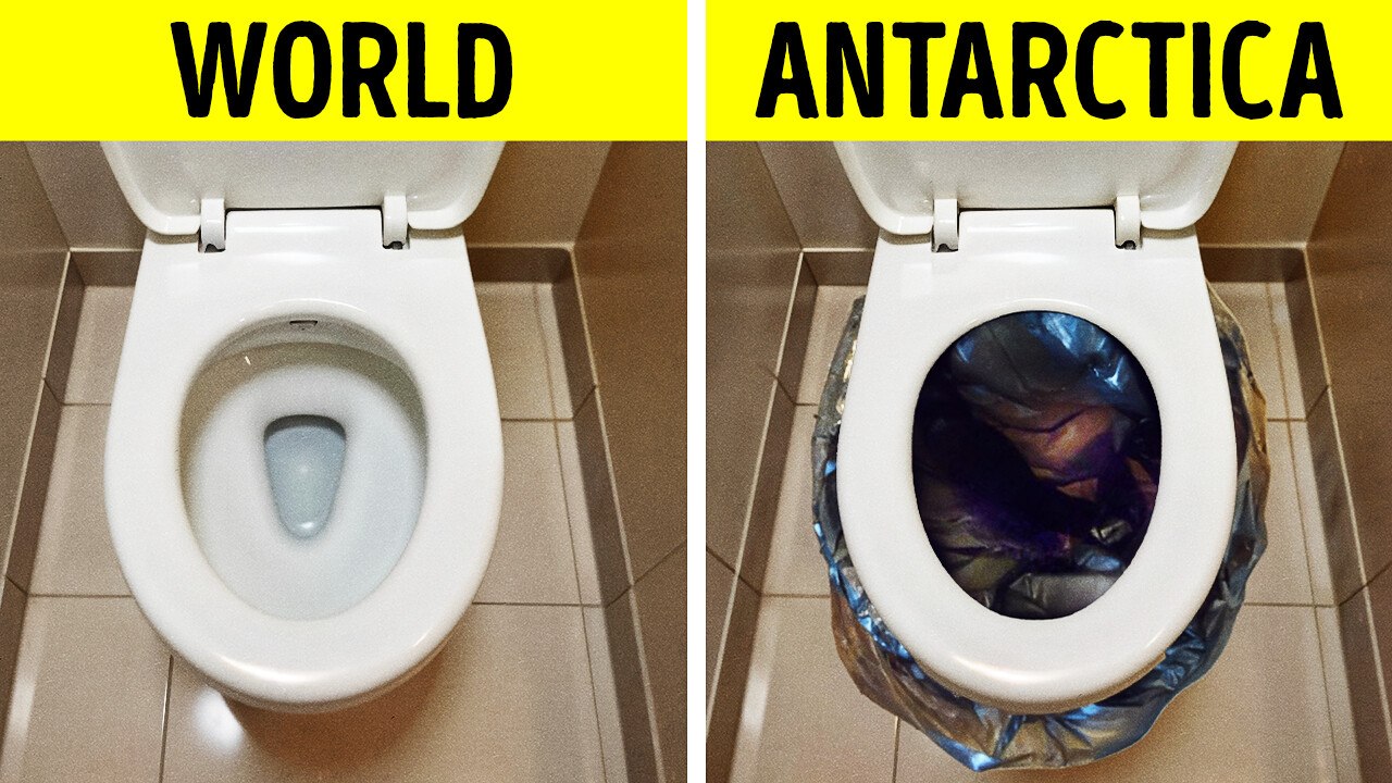 Strange Things You’ll Never Believe Are Banned in Antarctica
