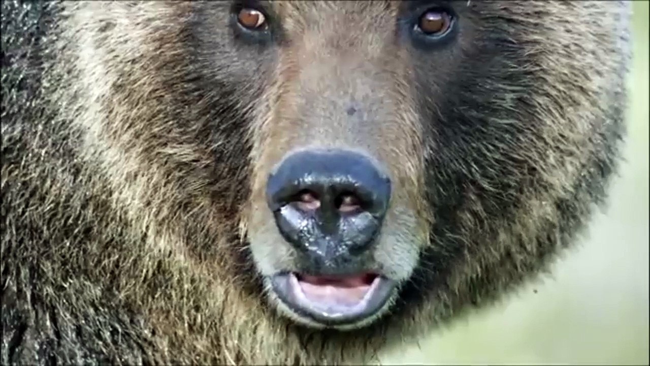 Videos | Short video | funny | games | game