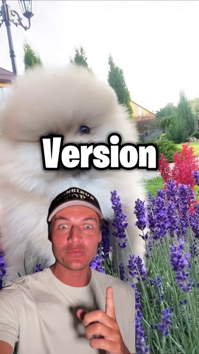 Quiz difficile bébé animaux