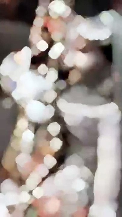 दुनियां रंग बिरंगी लागे🥺🙏#राधाकृष्ण#radha#krishna#vrindavan#shortsfeed#shortvideo#yt