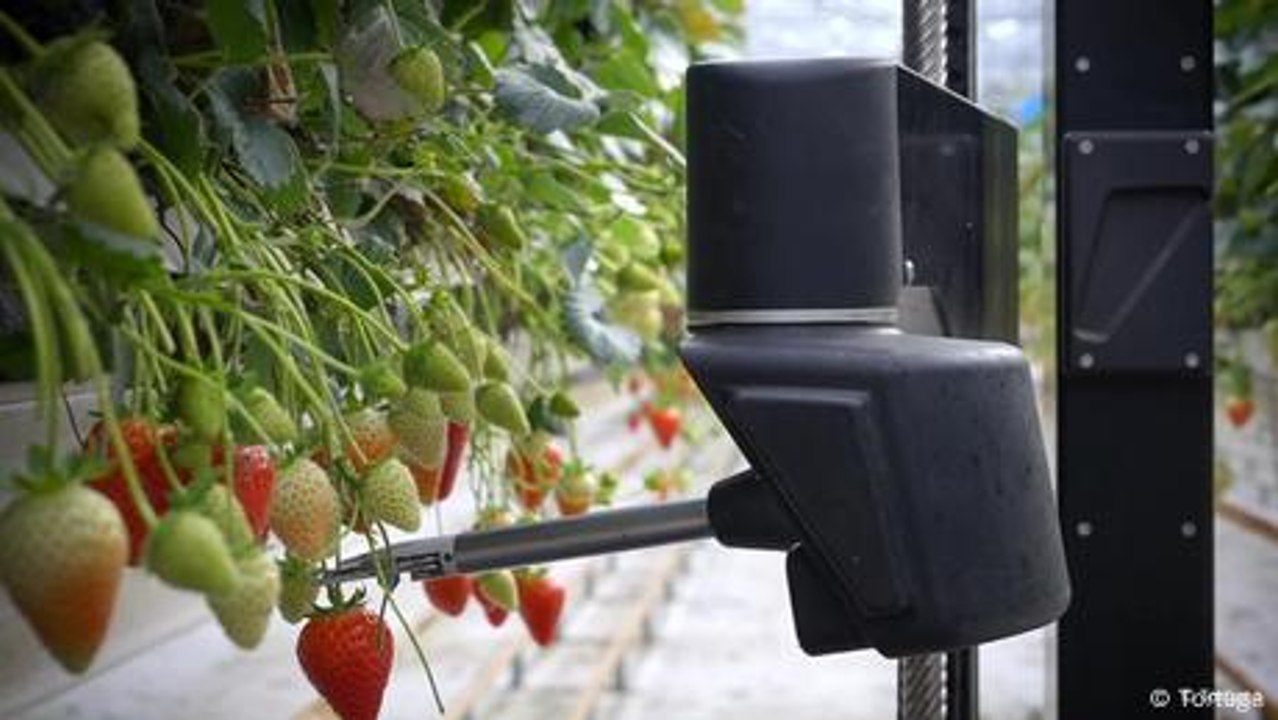 Farming robots: The future of agriculture?
