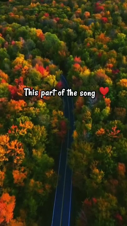 Jo Tum Mere Ho ❤️💑✨