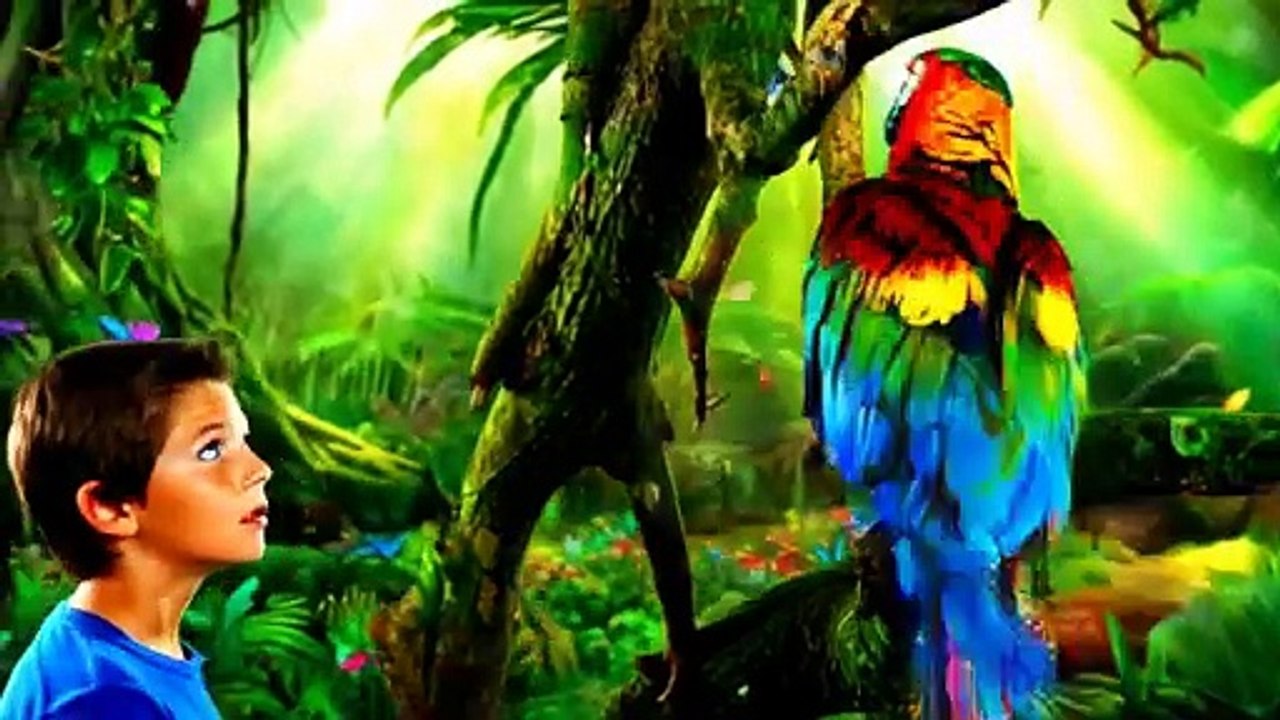 Videos | Short video | funny | parrot | Tarzan