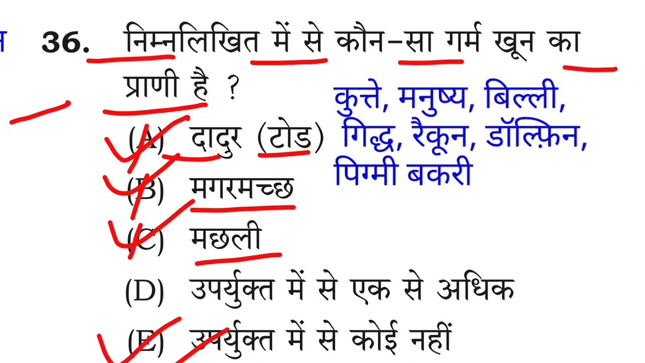 bpsc tre 3.0 1 to 5 question paper _ tre 3.0 bpsc 1to5 answer key _ bpsc 1to5 previous year question(720P_60FPS)