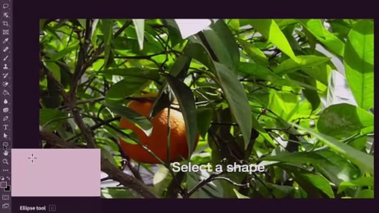 Photoshop tutorial: Crop images into shapes