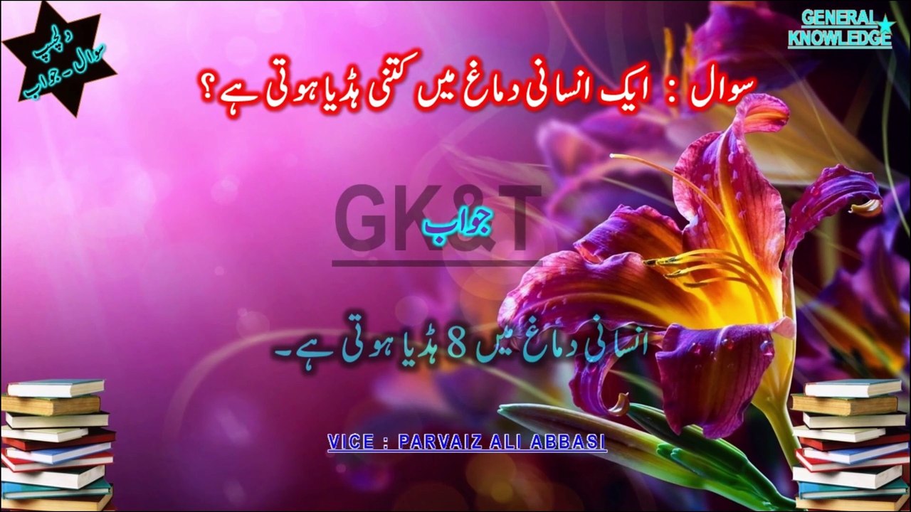 Discover the Secrets of Nature: Million-Egg Layers & Rare Forest Wonders 🌍 Urdu/Hindi 2024-2025