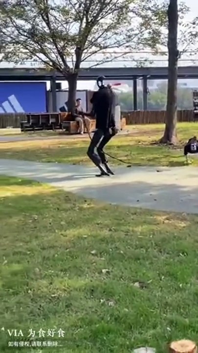 Un robot humain promène son robot chien