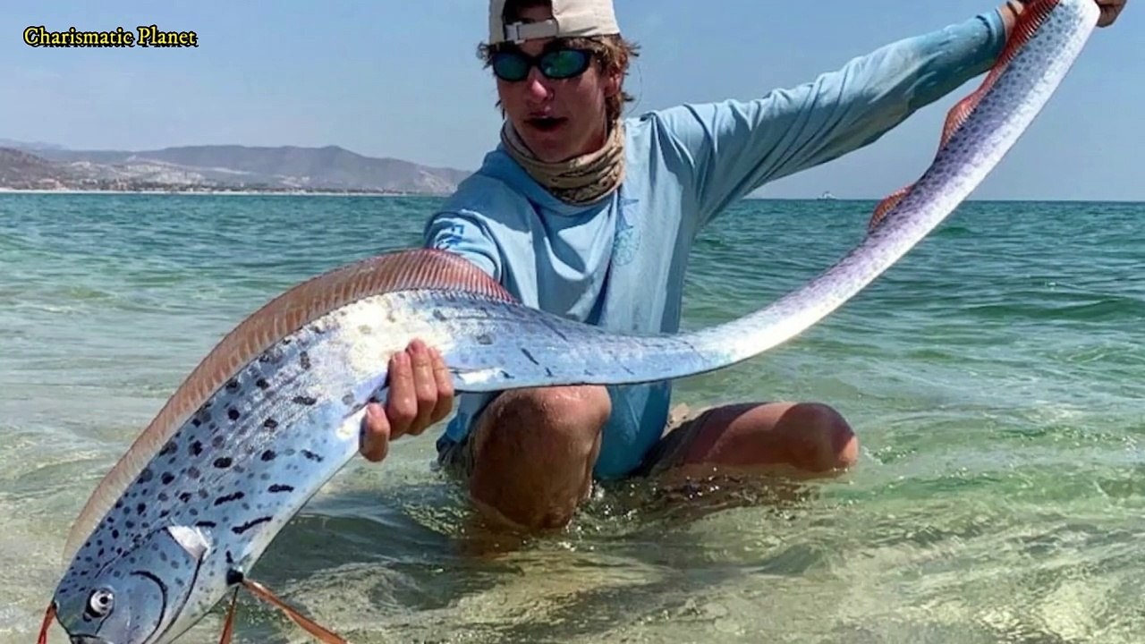 Oarfish -  Nature’s Longest and Most Mysterious Fish