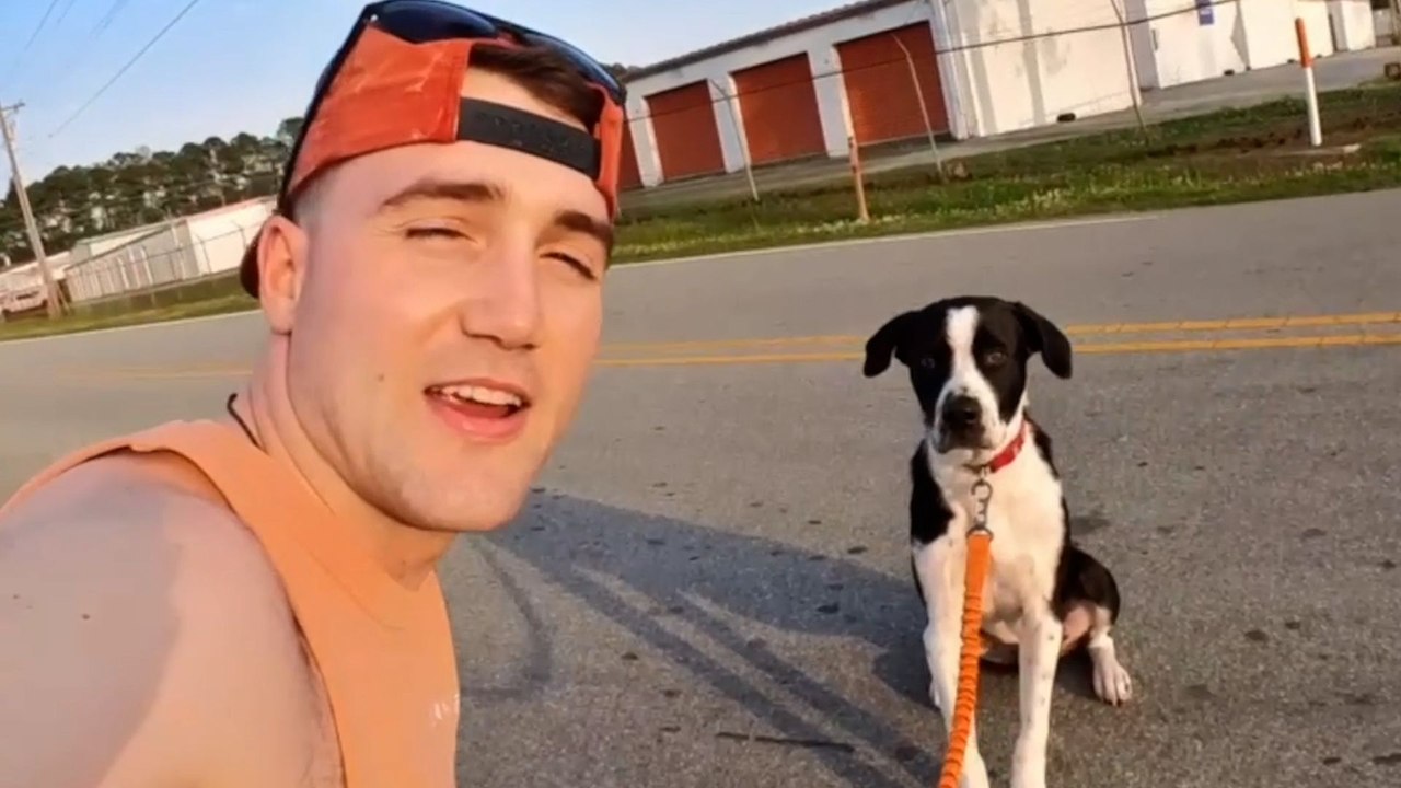 Man Magically Gets Every Shelter Dog Adopted