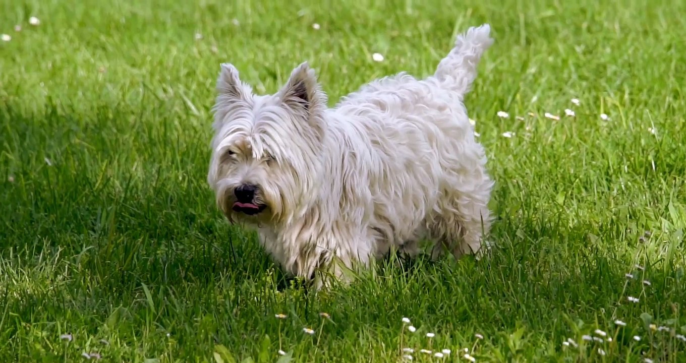 Don't waste time with explanations