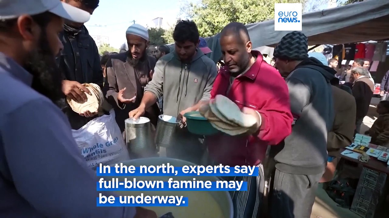 One meal a day: UN warns of 'severe hunger' in Gaza